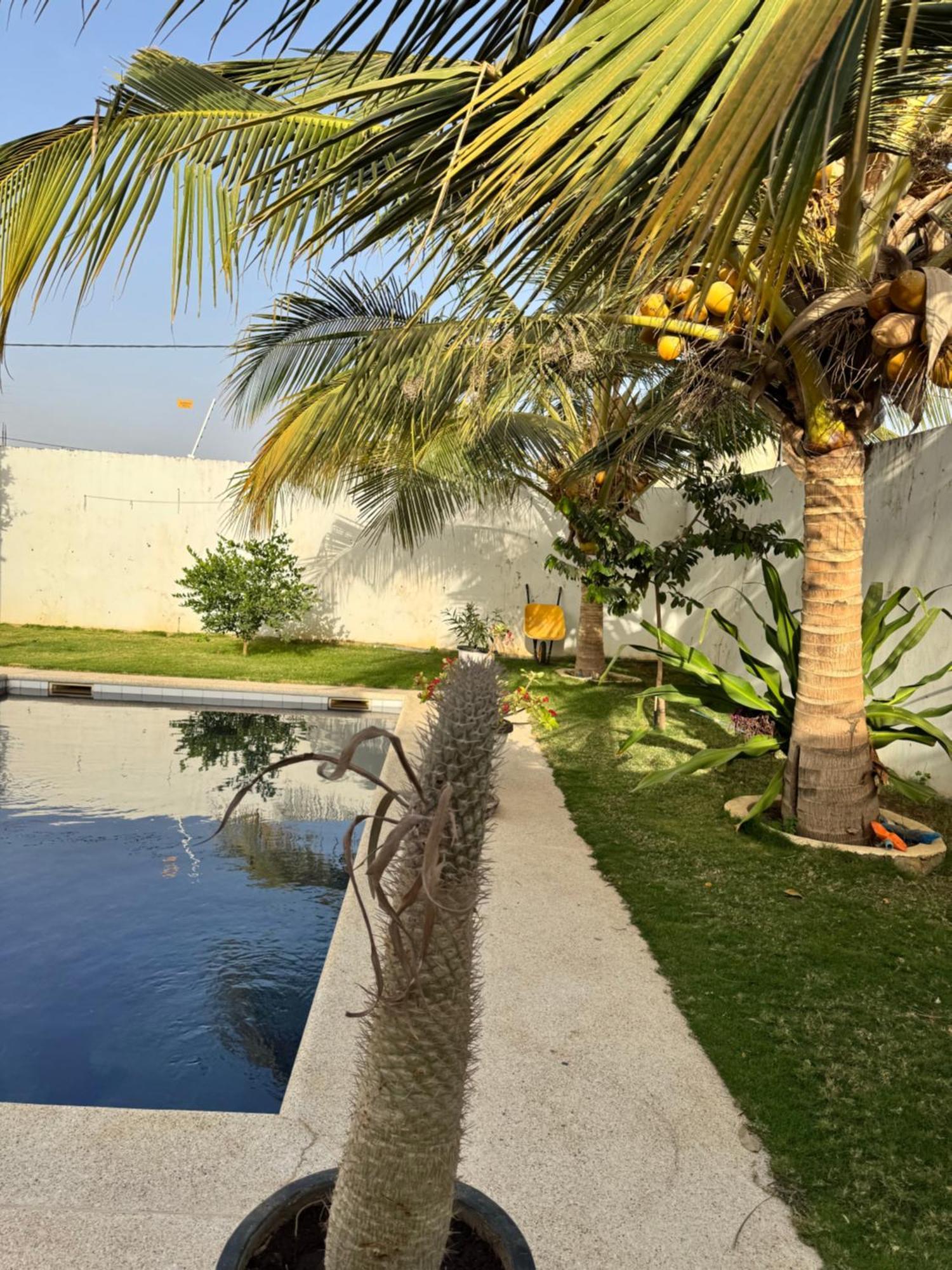 La Baraka, Extravagant Villa For 8 With Pool In Saly Gandigal المظهر الخارجي الصورة